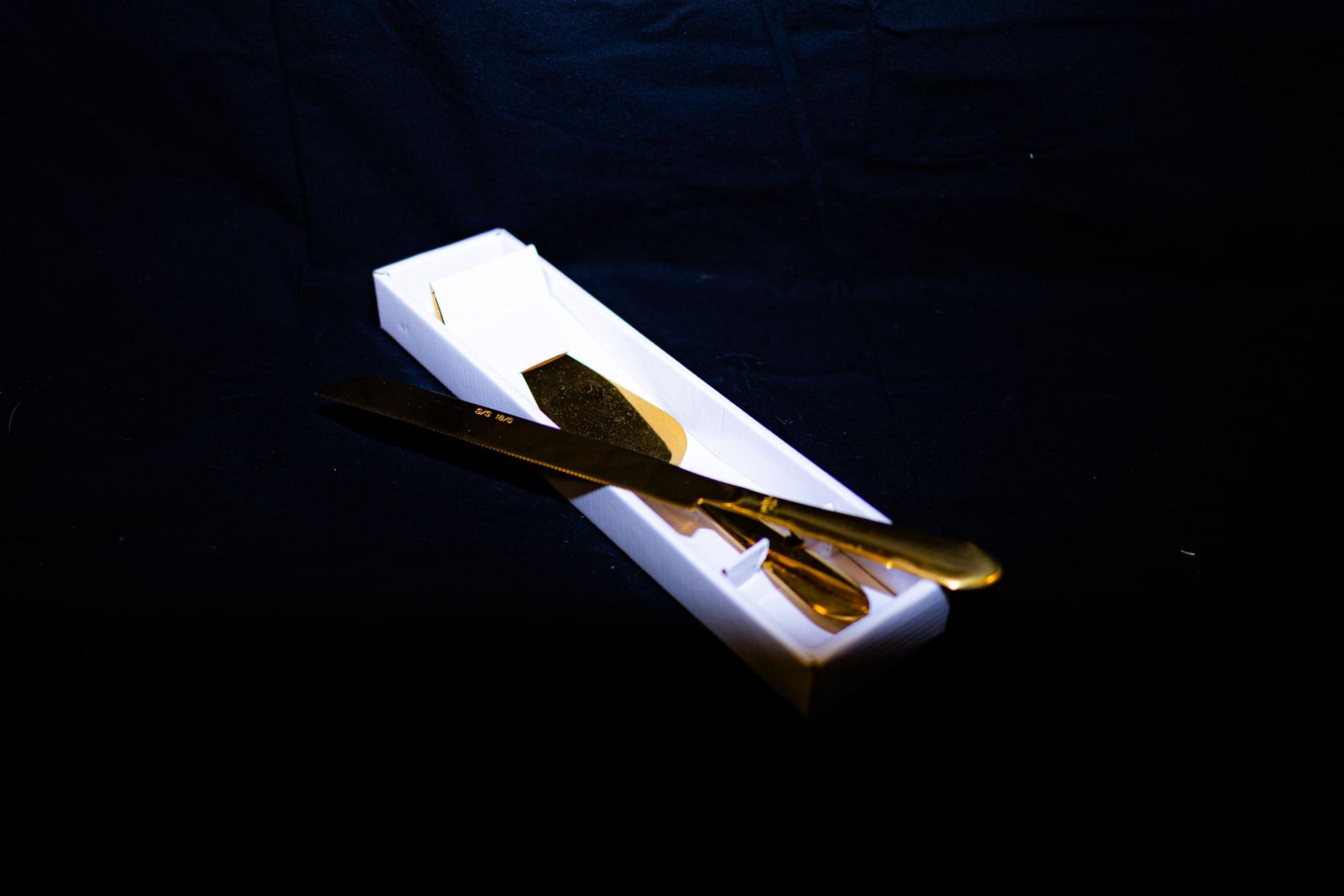 Cake Knife & Serving Spatula from Golden Moments Rentals