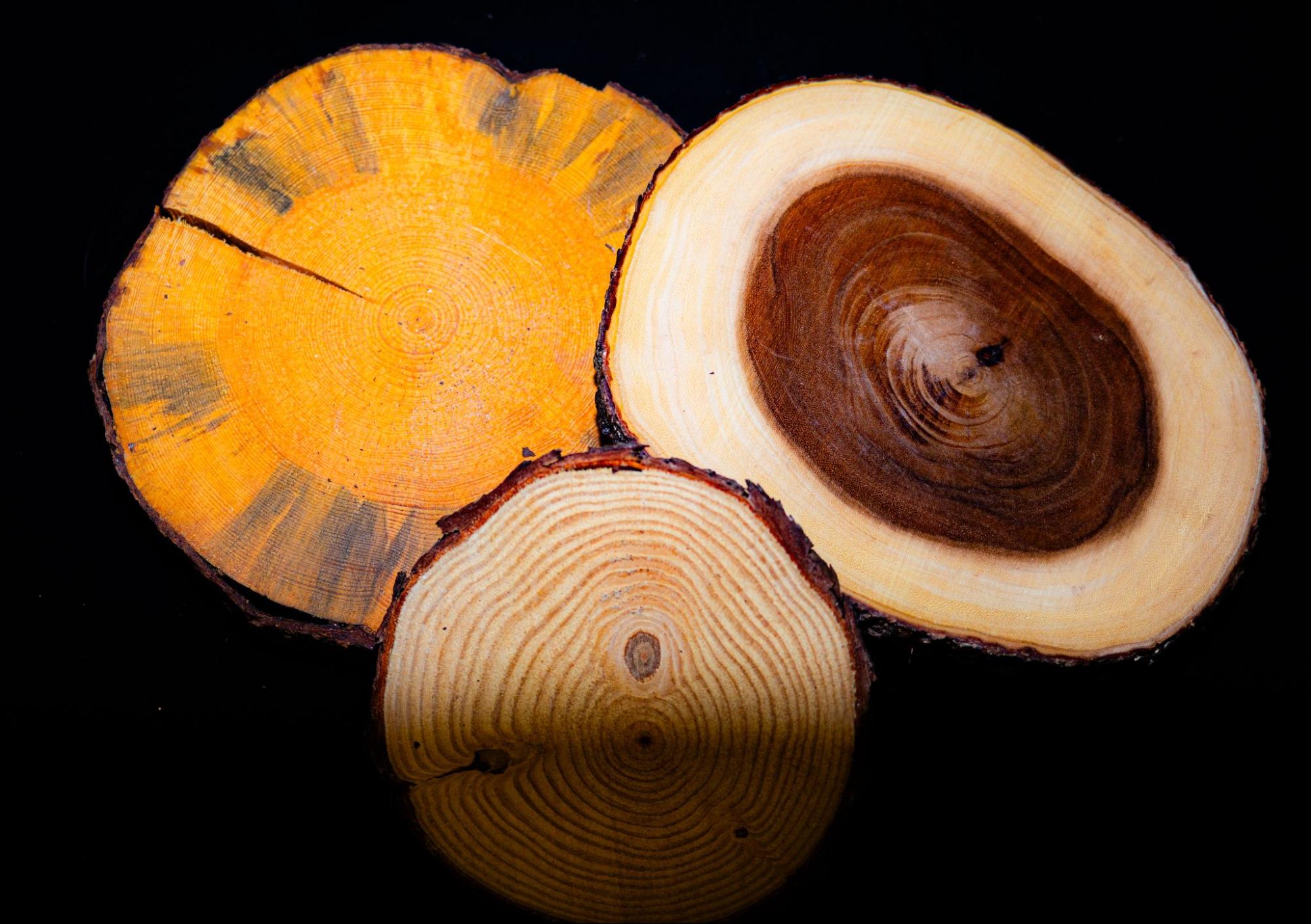 Log Slices from Golden Moments Rentals